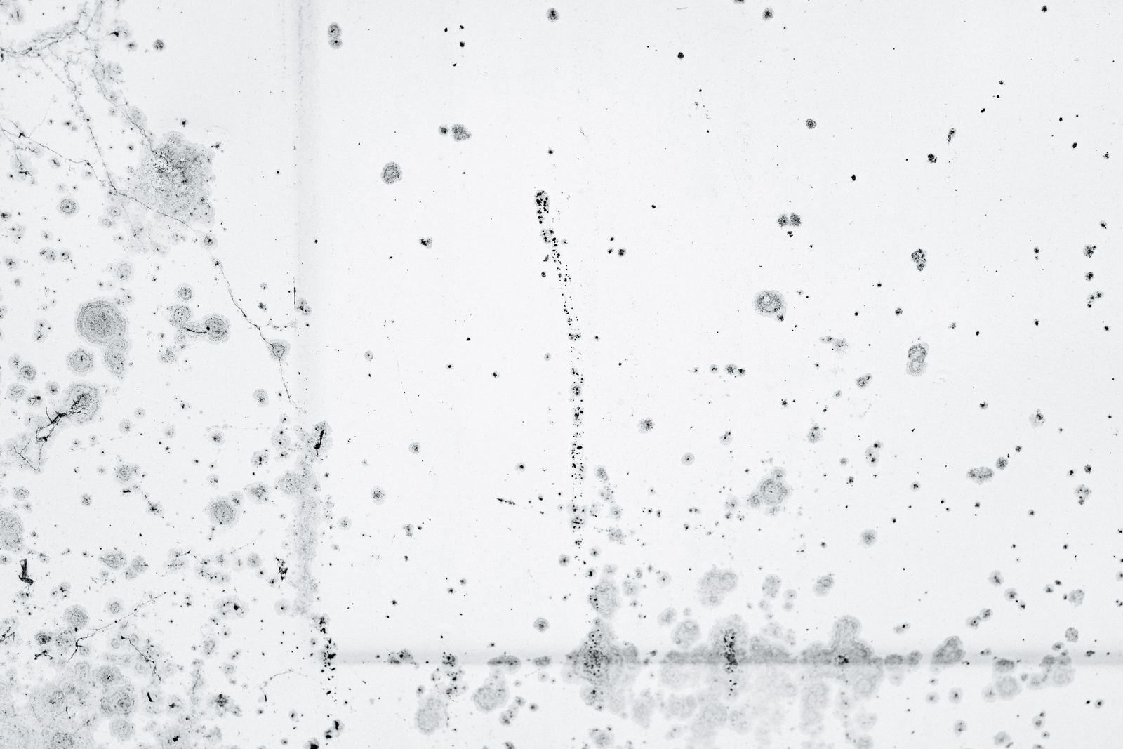 Close-up of black mould speckling spreading across a painted surface